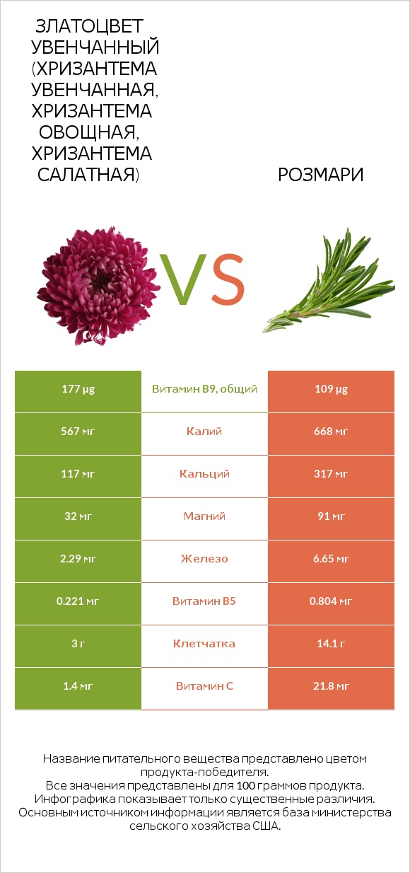 Златоцвет увенчанный (хризантема увенчанная, хризантема овощная, хризантема салатная) vs Розмари infographic