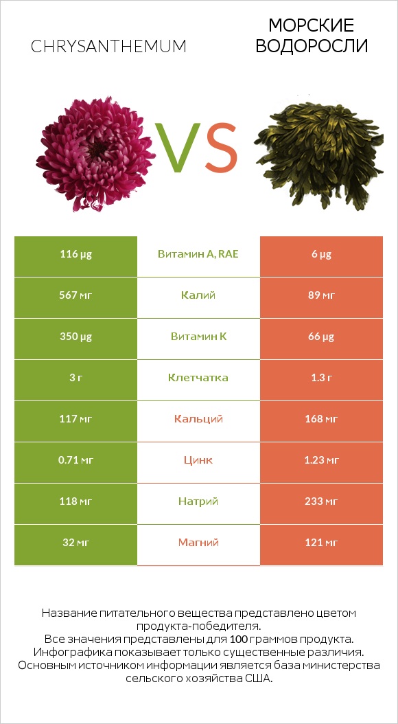 Chrysanthemum vs Морские водоросли infographic