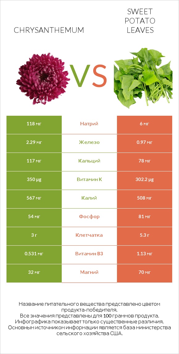 Chrysanthemum vs Sweet potato leaves infographic