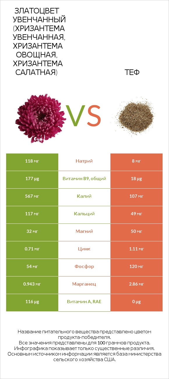 Златоцвет увенчанный (хризантема увенчанная, хризантема овощная, хризантема салатная) vs Теф infographic
