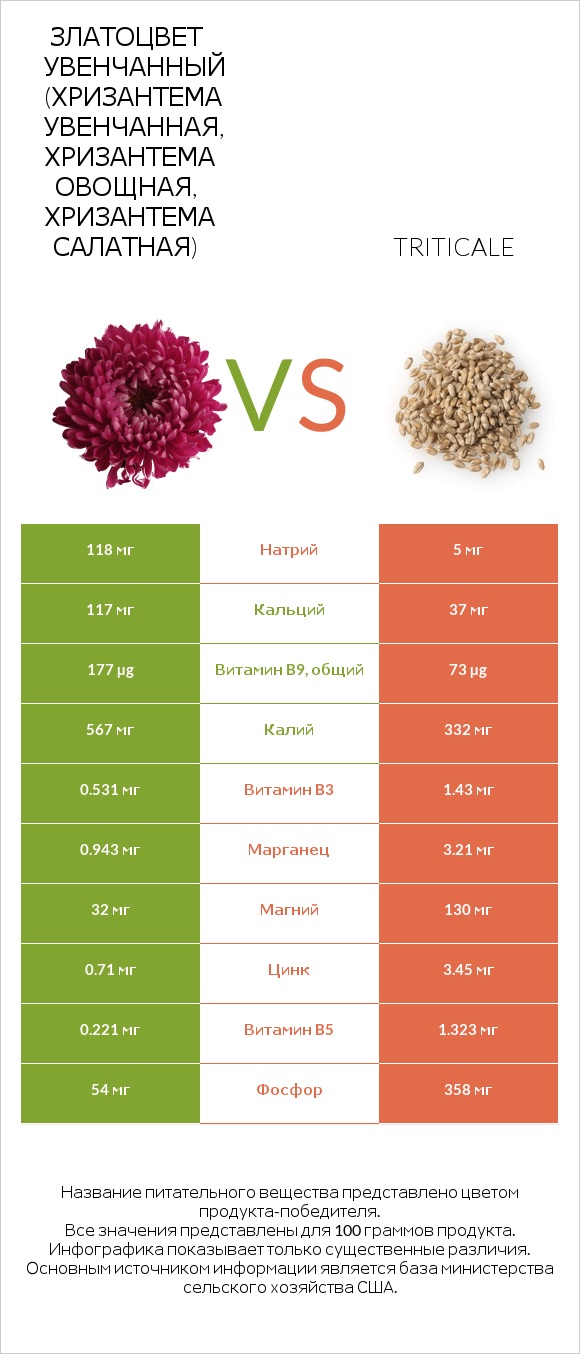 Златоцвет увенчанный (хризантема увенчанная, хризантема овощная, хризантема салатная) vs Triticale infographic