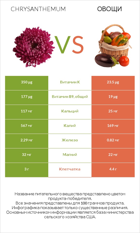 Chrysanthemum vs Овощи infographic