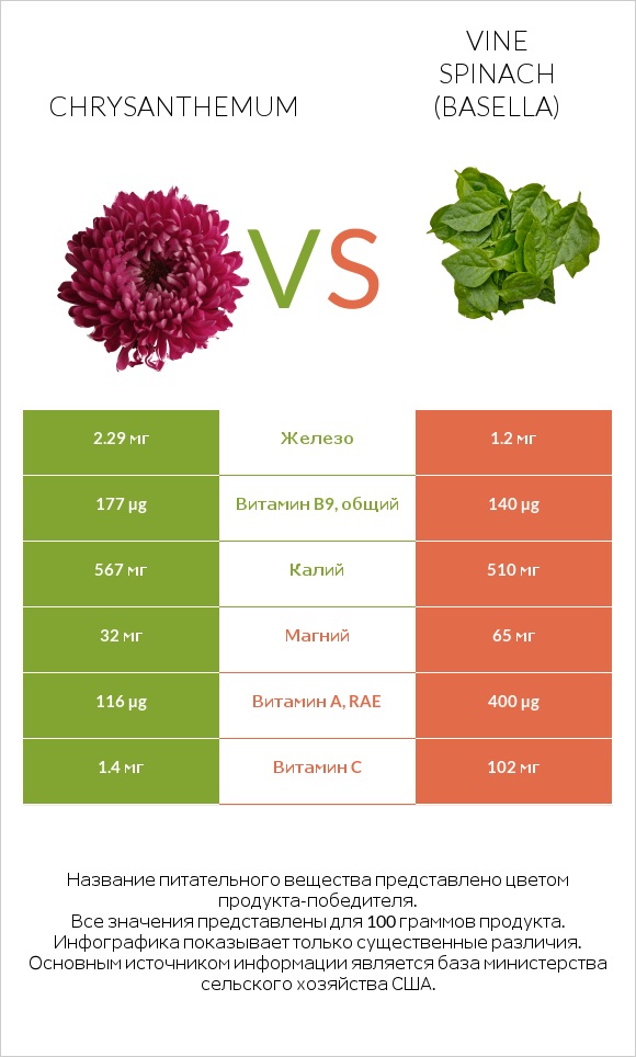 Chrysanthemum vs Vine spinach (basella) infographic