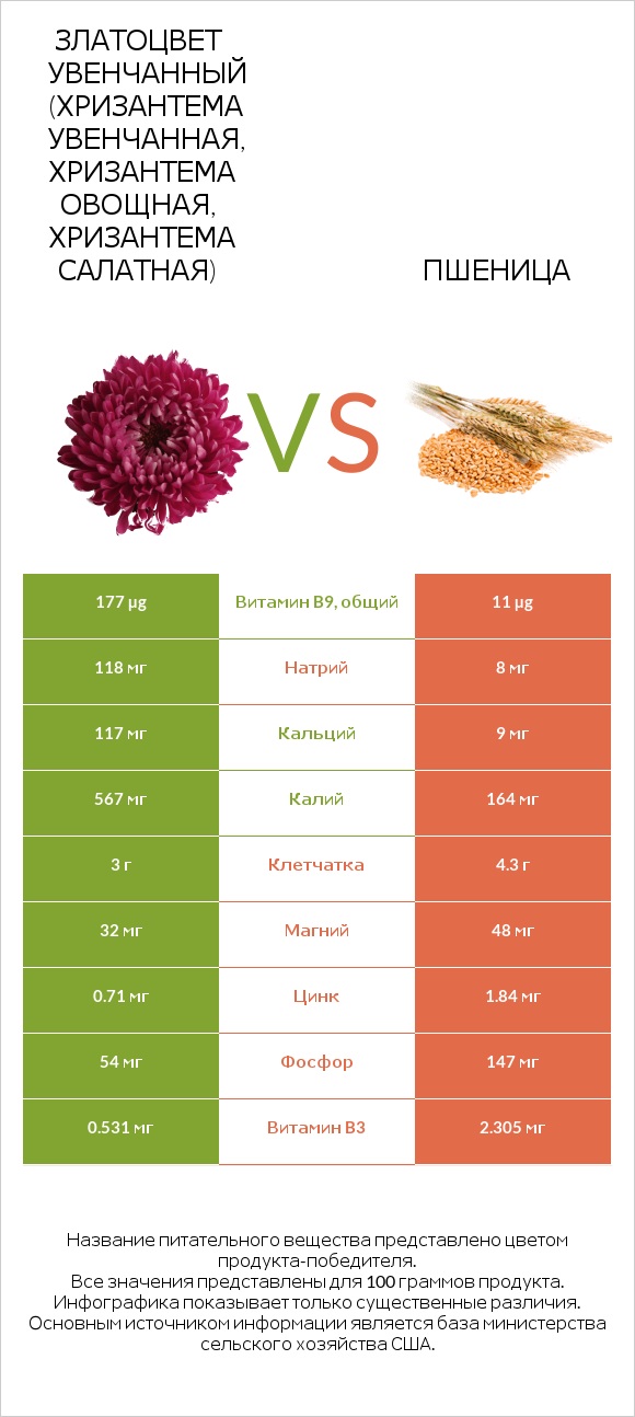 Златоцвет увенчанный (хризантема увенчанная, хризантема овощная, хризантема салатная) vs Пшеница infographic