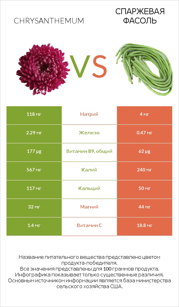 Chrysanthemum vs Спаржевая фасоль infographic