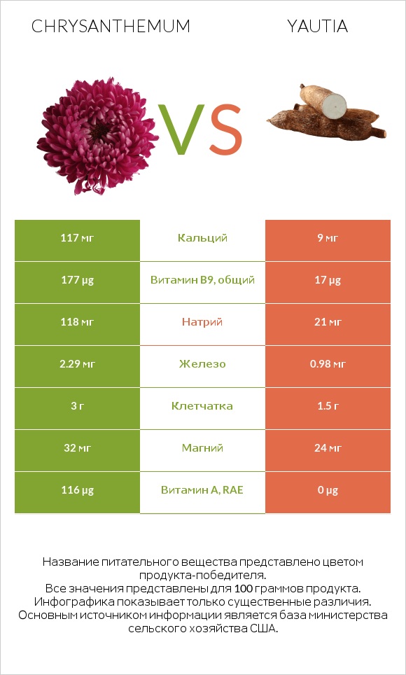 Chrysanthemum vs Yautia infographic