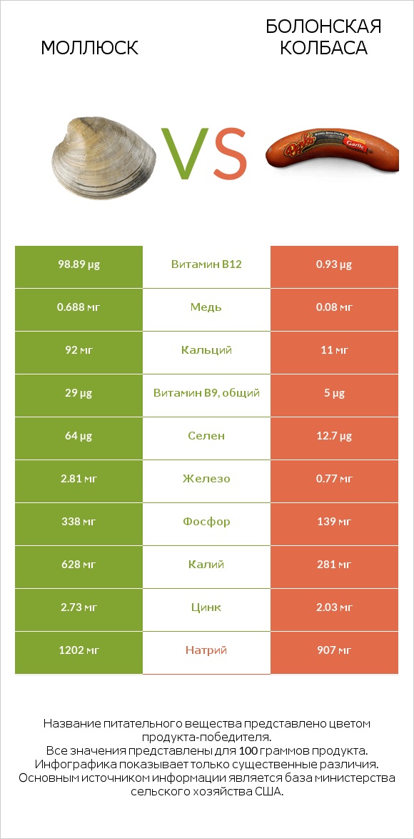 Моллюск vs Болонская колбаса infographic