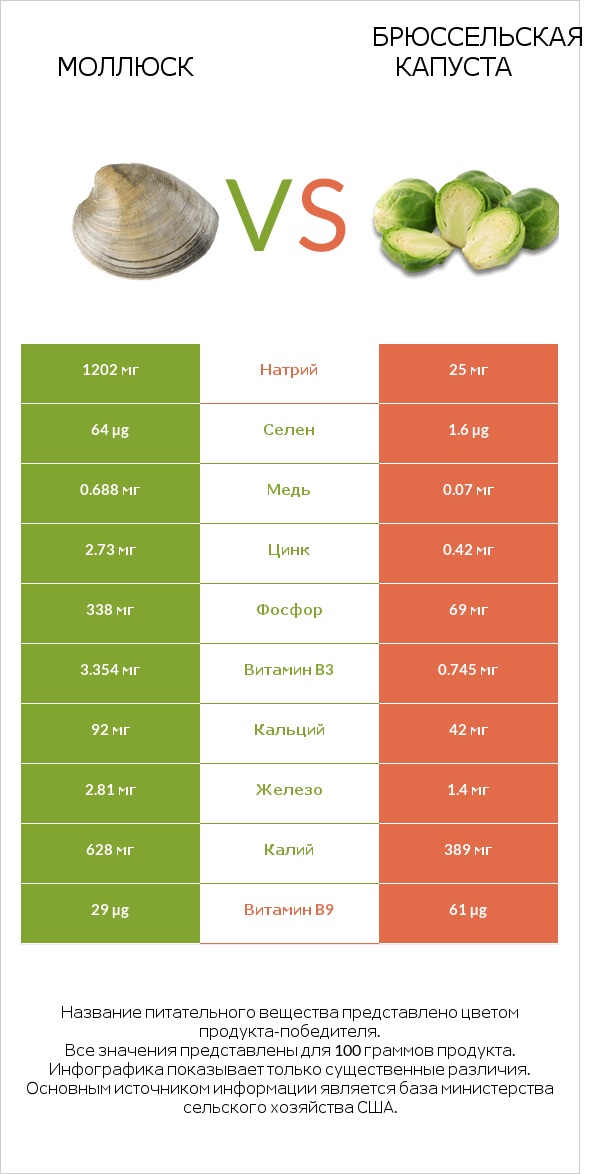 Моллюск vs Брюссельская капуста infographic