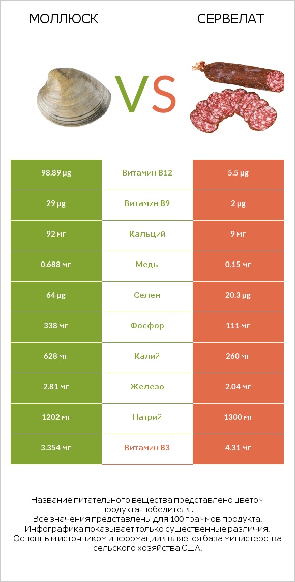 Моллюск vs Сервелат infographic