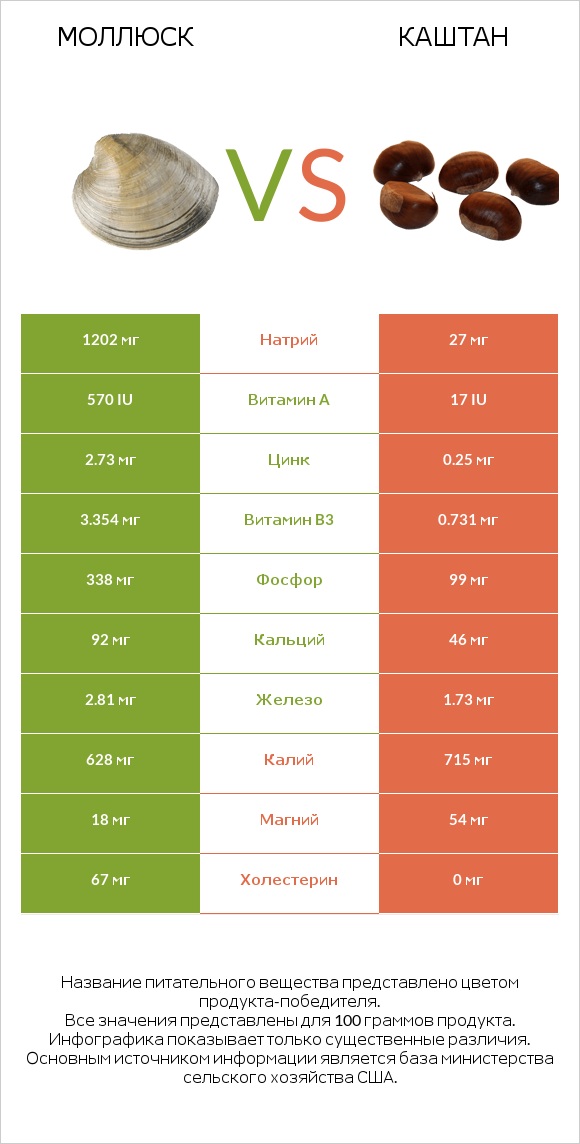 Моллюск vs Каштан infographic