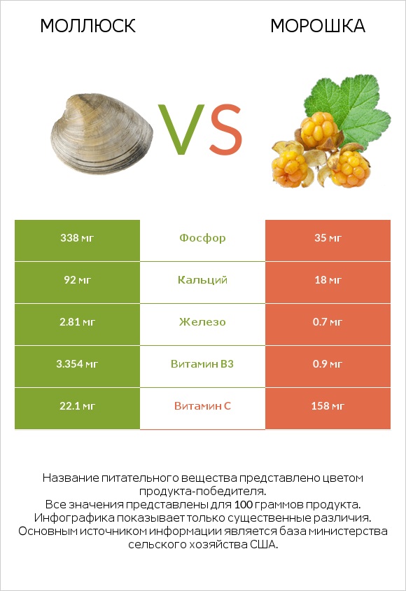 Моллюск vs Морошка infographic