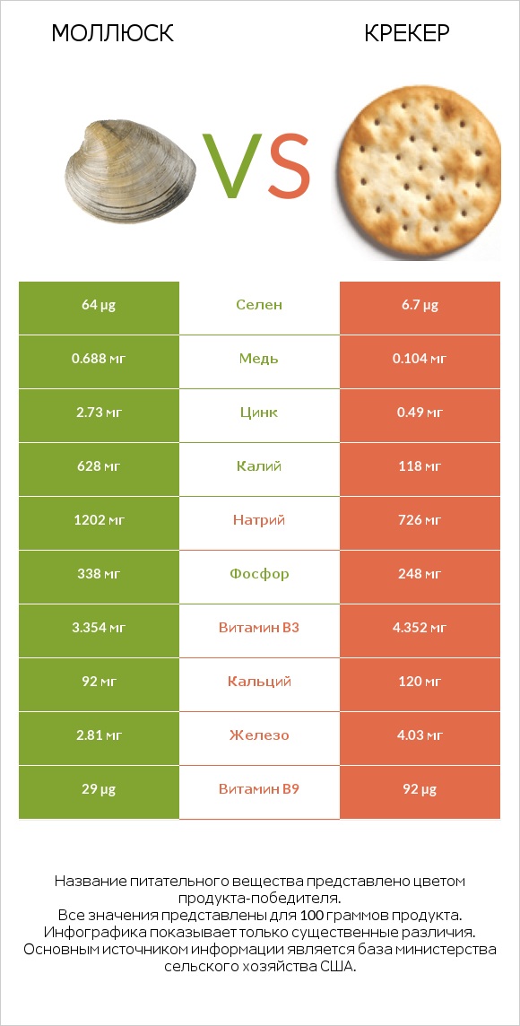 Моллюск vs Крекер infographic