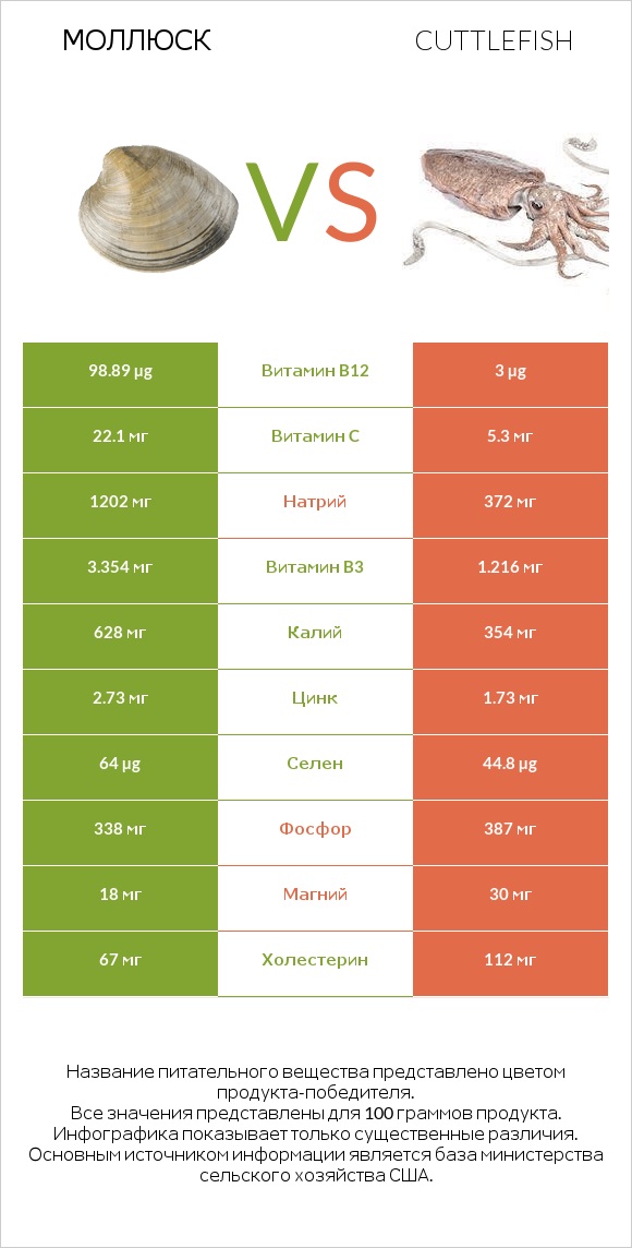 Моллюск vs Cuttlefish infographic