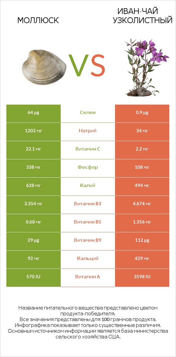 Моллюск vs Иван-чай узколистный infographic