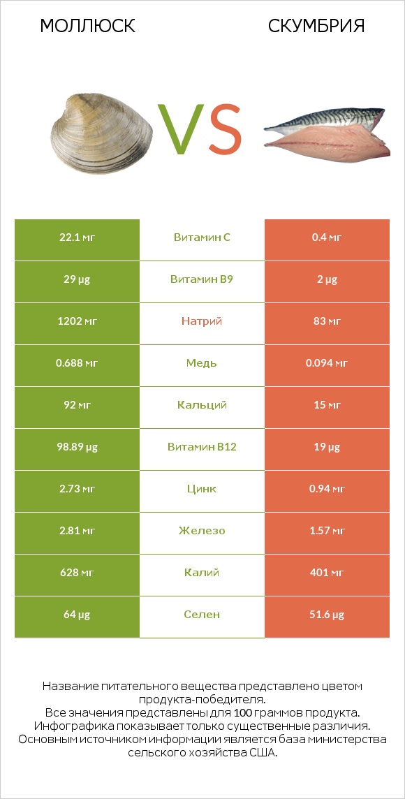 Моллюск vs Скумбрия infographic