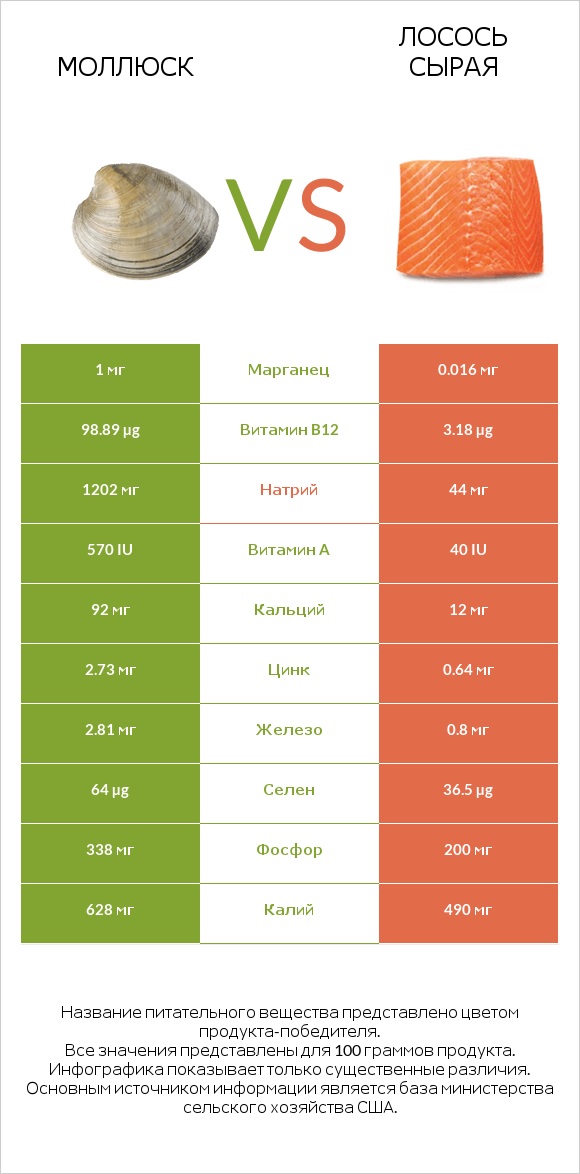 Моллюск vs Лосось сырая infographic