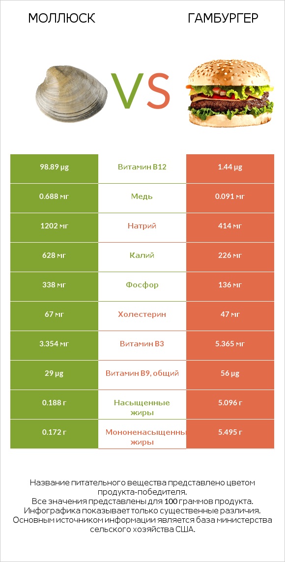 Моллюск vs Гамбургер infographic