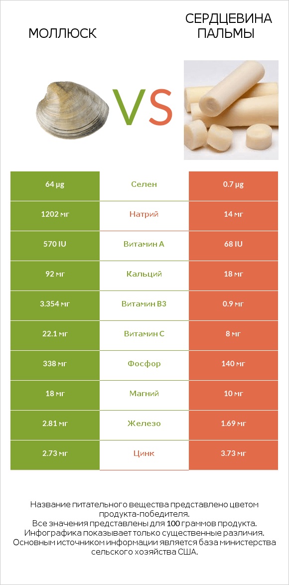 Моллюск vs Сердцевина пальмы infographic