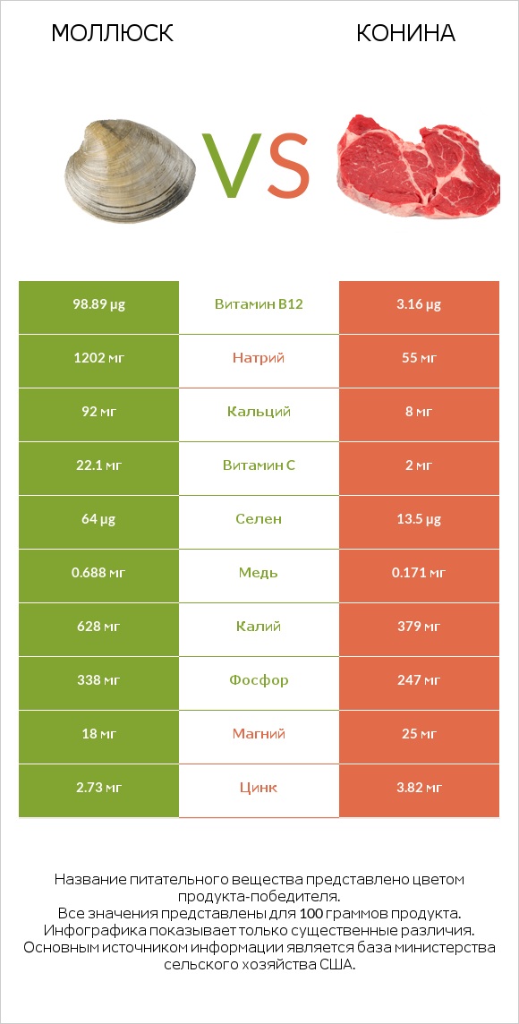 Моллюск vs Конина infographic