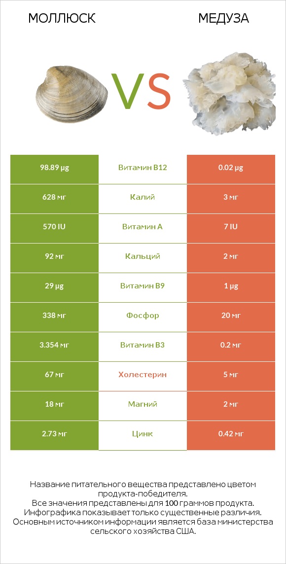 Моллюск vs Медуза infographic