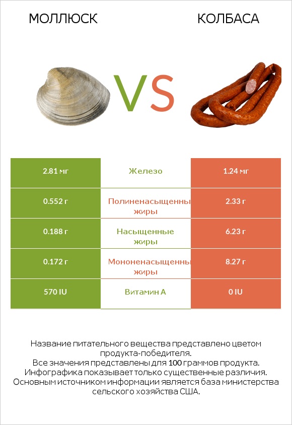 Моллюск vs Колбаса infographic