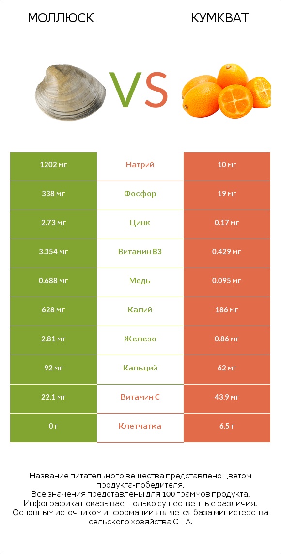 Моллюск vs Кумкват infographic