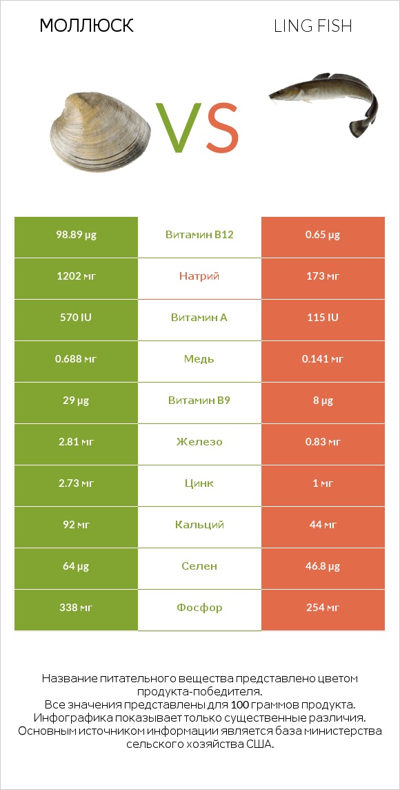 Моллюск vs Ling fish infographic