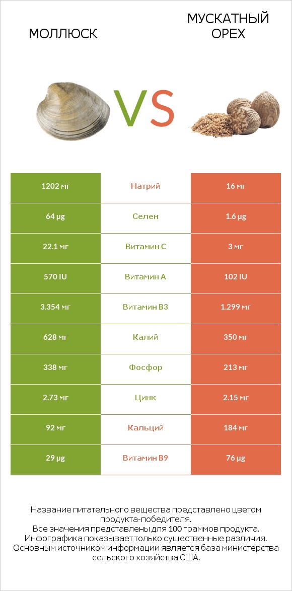 Моллюск vs Мускатный орех infographic
