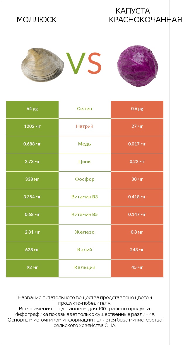 Моллюск vs Капуста краснокочанная infographic