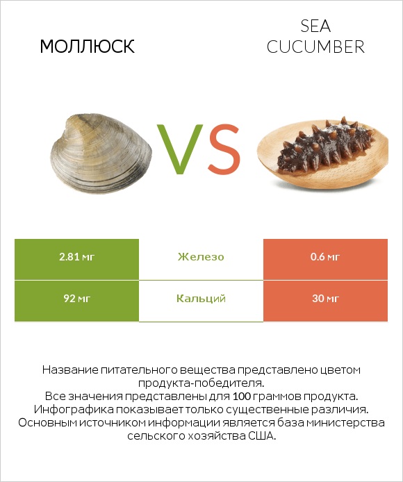 Моллюск vs Sea cucumber infographic