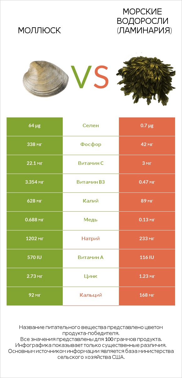Моллюск vs Морские водоросли (Ламинария) infographic