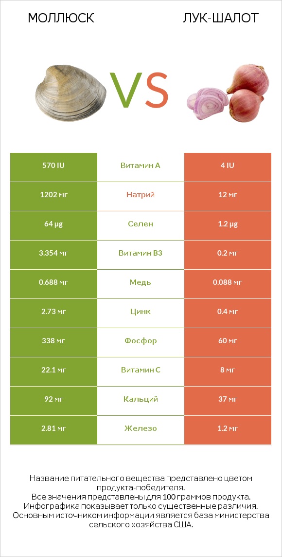 Моллюск vs Лук-шалот infographic