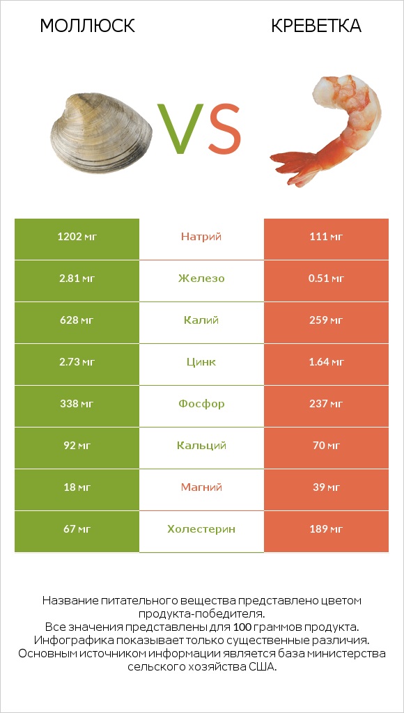 Моллюск vs Креветка infographic