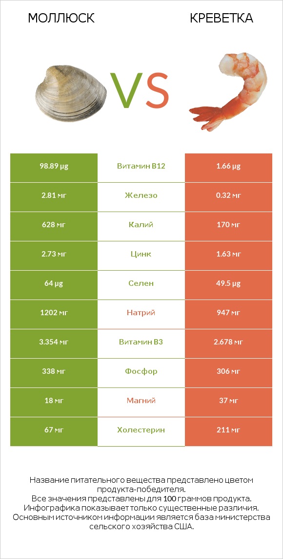 Моллюск vs Креветка infographic