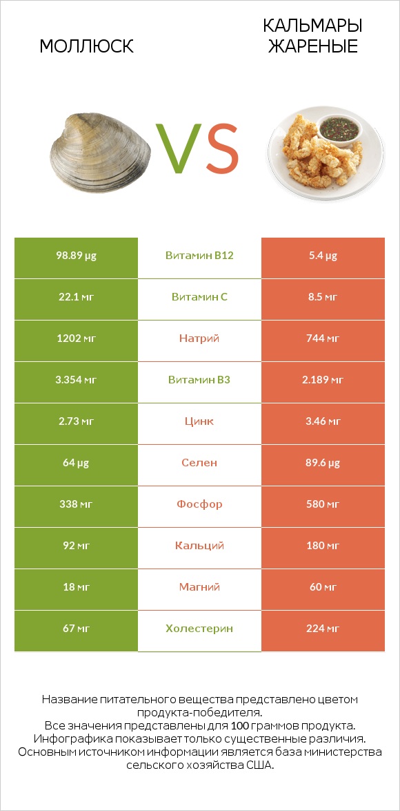 Моллюск vs Кальмары жареные infographic