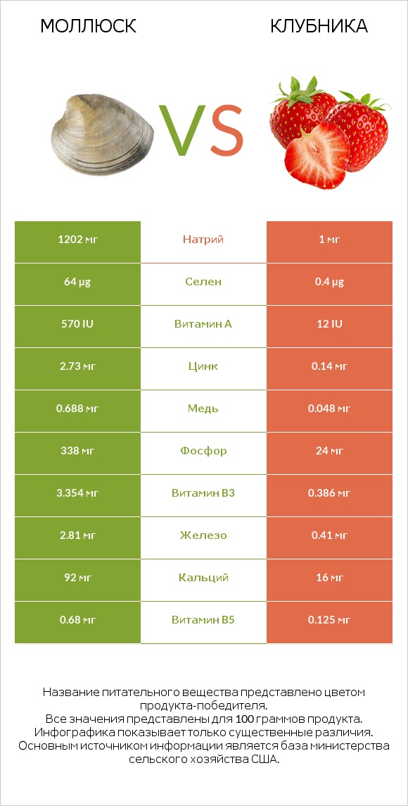 Моллюск vs Клубника infographic