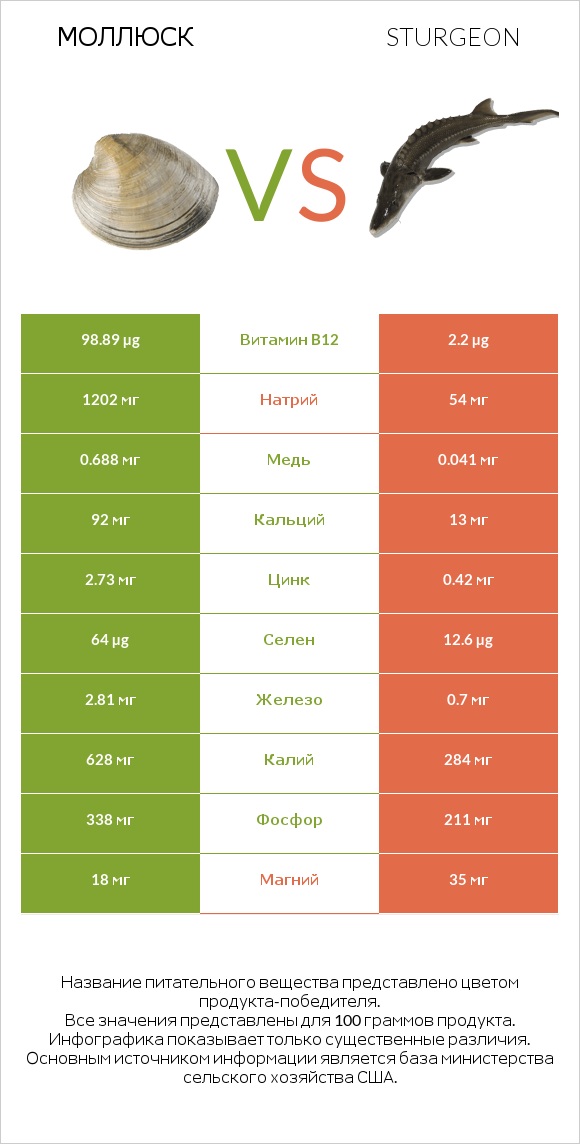 Моллюск vs Sturgeon infographic