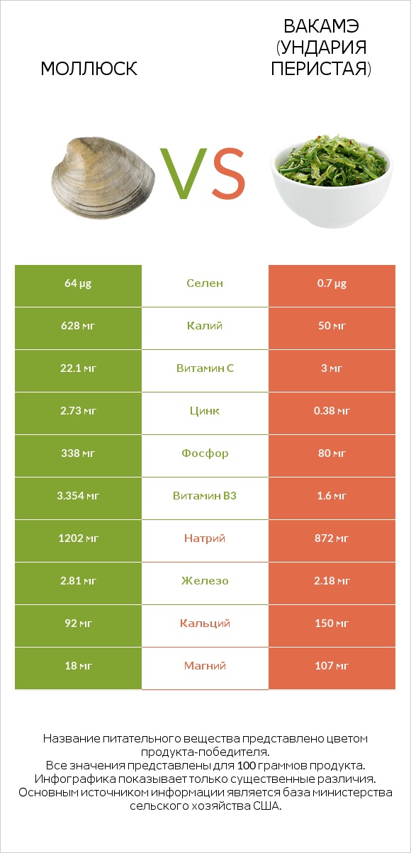 Моллюск vs Вакамэ (ундария перистая) infographic