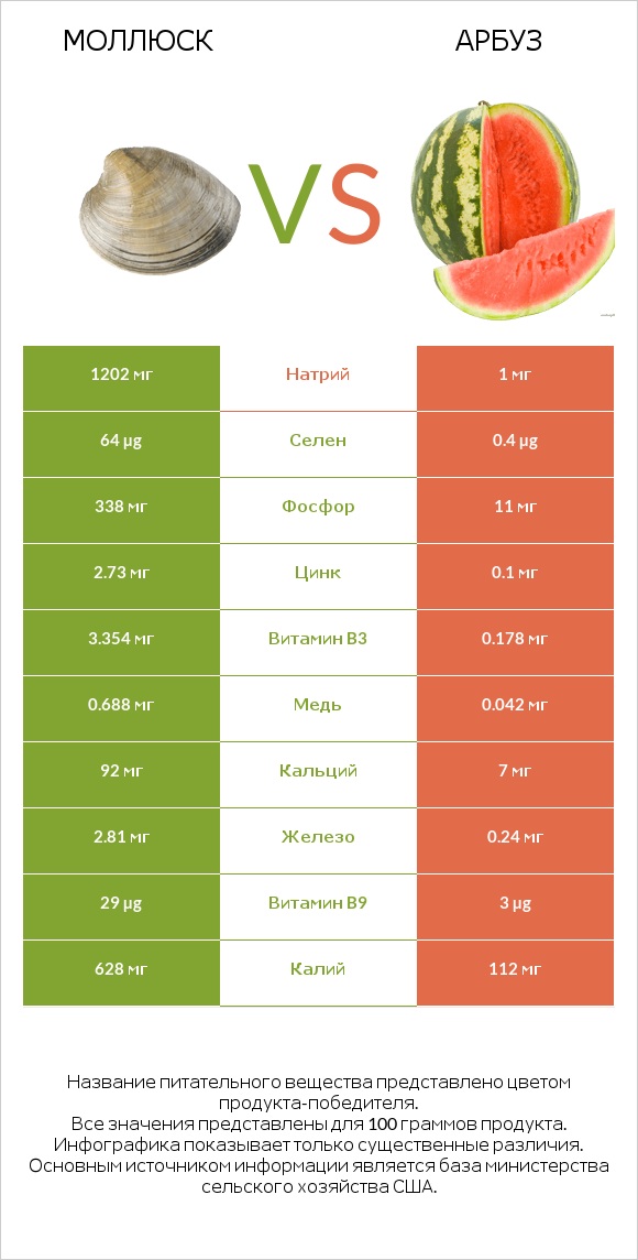 Моллюск vs Арбуз infographic