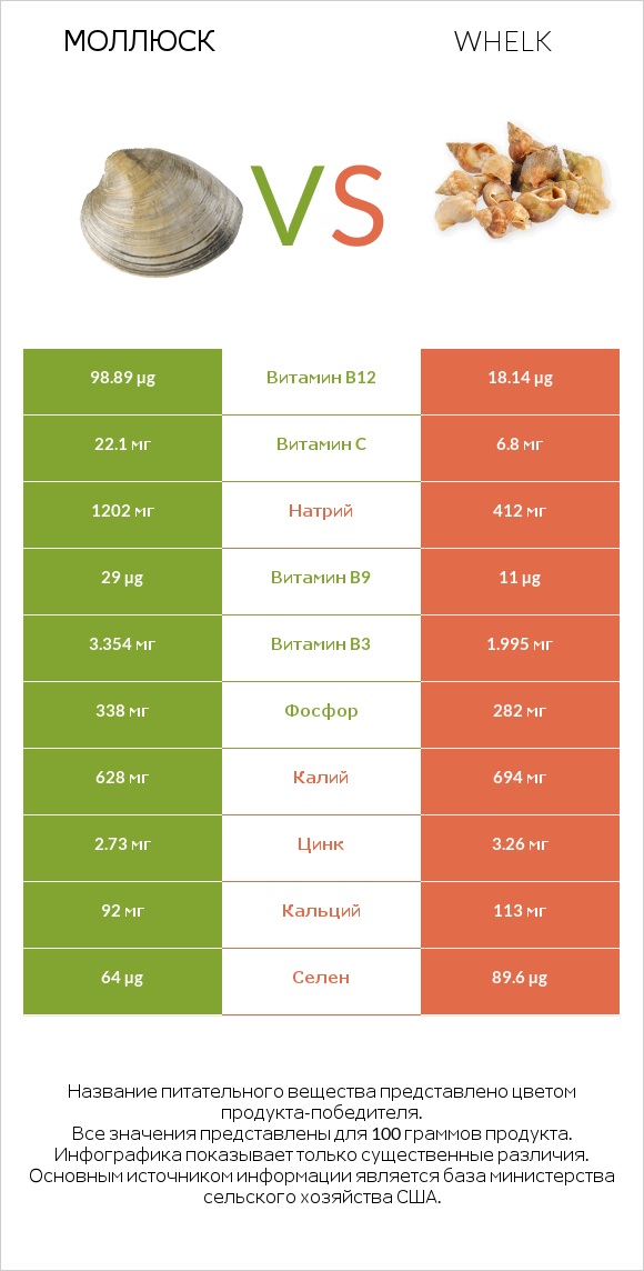 Моллюск vs Whelk infographic