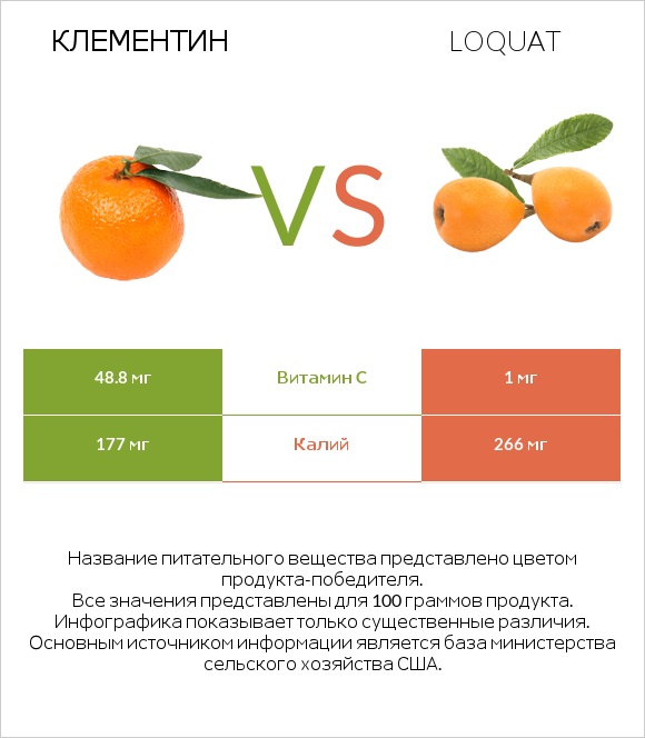 Клементин vs Loquat infographic