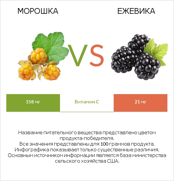 Морошка vs Ежевика infographic