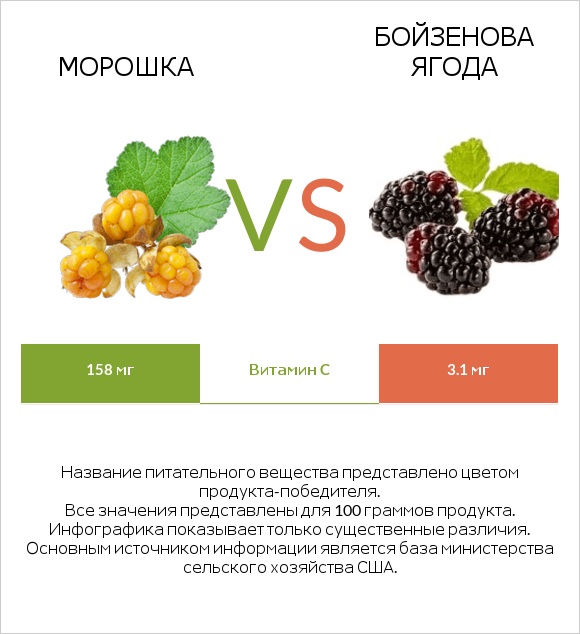 Морошка vs Бойзенова ягода infographic