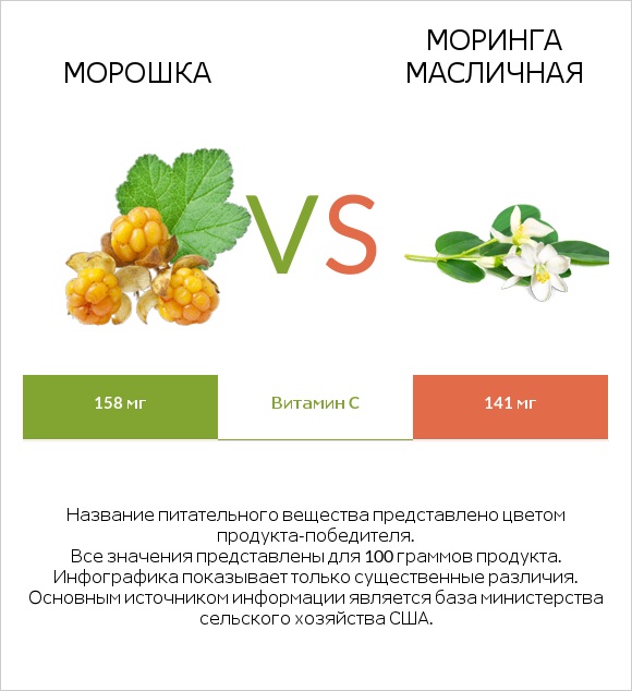 Морошка vs Моринга масличная infographic