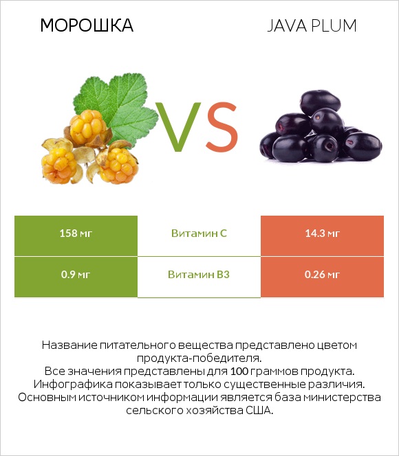 Морошка vs Java plum infographic