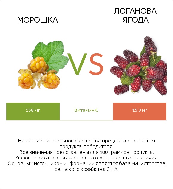 Морошка vs Логанова ягода infographic