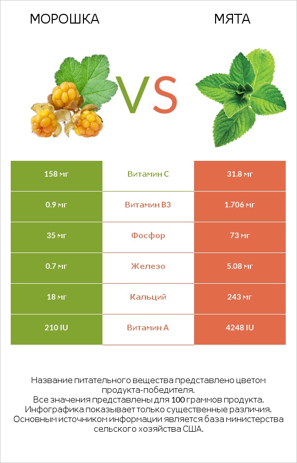 Морошка vs Мята infographic