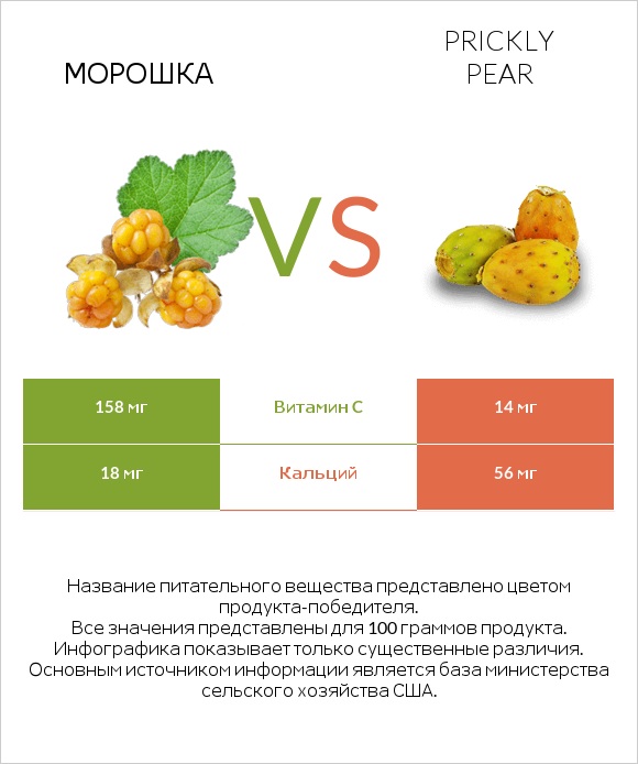 Морошка vs Prickly pear infographic