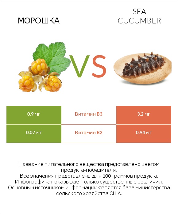 Морошка vs Sea cucumber infographic
