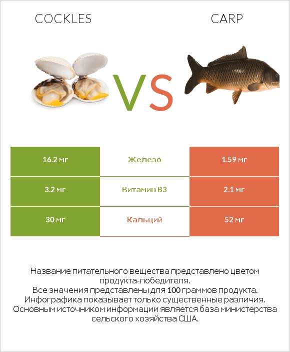 Cockles vs Carp infographic